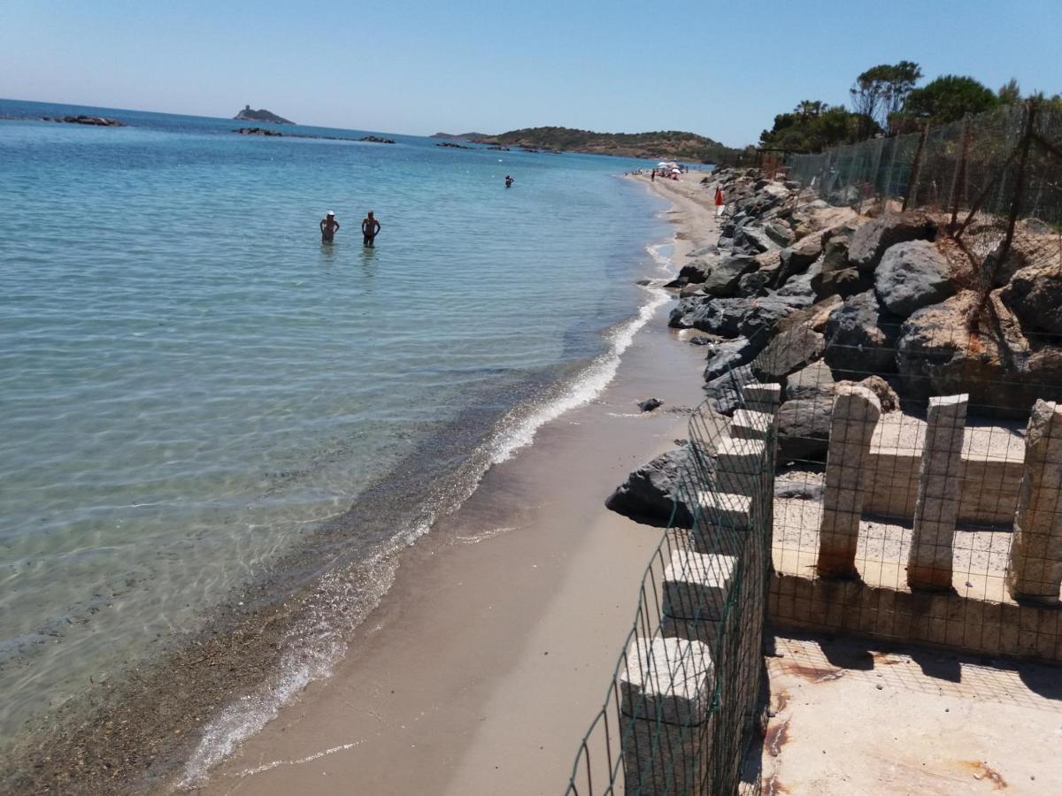 Mare